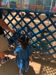 -萌宠亲子动物乐园(槐房万达店)