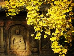 -北京石刻艺术博物馆(五塔寺)