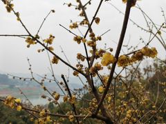 -金海湾滨江公园