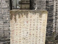 -上海佘山国家森林公园天马山园