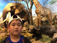 -陕西自然博物馆