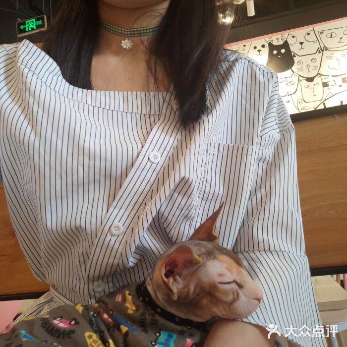 喵匠猫主题咖啡(凯德和平广场店)图片