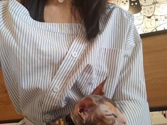 -喵匠猫主题咖啡(凯德和平广场店)