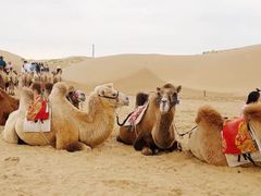 -银肯塔拉沙漠生态旅游景区
