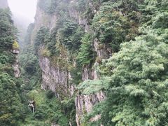 -苍山感通索道