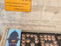 -西海国立公园九十九岛水族馆