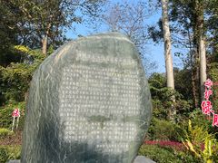 -三门江国家森林公园