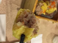 凯龙船-乙龍天