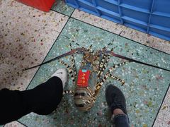 -金源餐馆