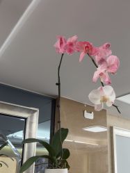 点击看大图 -AGAXI美甲美睫