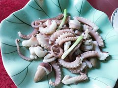 -罗源湾8号渔排