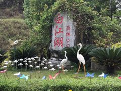 -广州白江湖森林公园