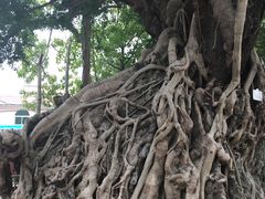-闽粤南澳总镇府