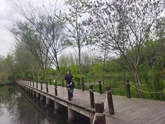 -溱湖国家湿地公园