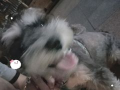 -纳吉亚猫专科动物医院·北北分院