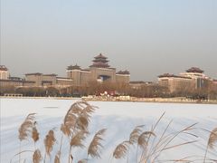 -莲花池公园