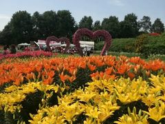 -白沙门生态公园