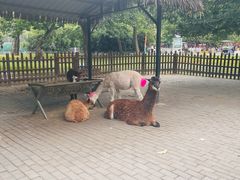 -西安秦岭野生动物园