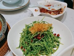 -青花椒花椒鱼(合生汇店)