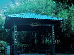 -九龙潭景区
