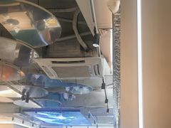 -探窝·竹笙椰子鸡(杨箕店)