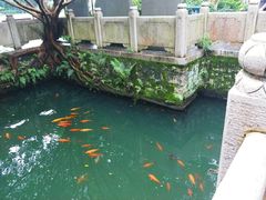 -墨池公园