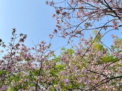-广东花都湖国家湿地公园