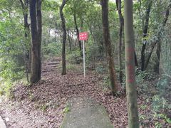-广州市帽峰山景区