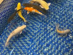 -沙河粉村·国家非遗传承(云台店)