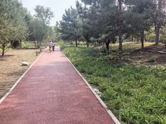 -绿堤公园