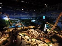 -自贡恐龙博物馆