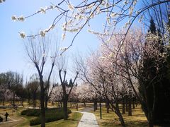 -北坞公园