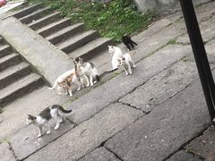-小河无名面馆