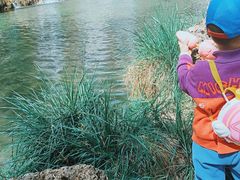 -沕沕水生态风景区