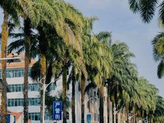 -孔雀湖生态旅游区