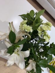 -HEYAN荷妍专业脱毛连锁机构