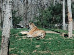 -北京野生动物园