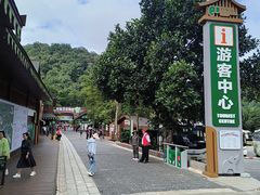 -野象谷景区