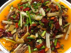 -庆合府重庆大排档(紫都城店)
