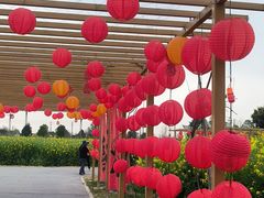 -中国天府农业博览园