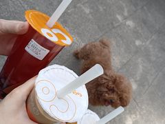 -CoCo都可(桃浦新邻店)