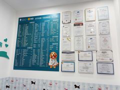 -守诺宠物医院·眼科· 神经外科·爬宠专科(虹口店)