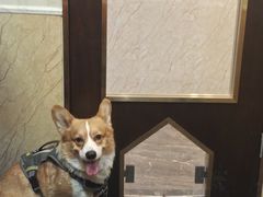 -宠爱国际动物医院·消化内科·心肾内科·ISFM猫友好(望京店)