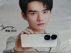 -荣耀授权专卖店(黄浦浙江中路店)