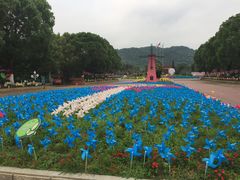 -东南花都花博园