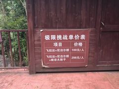 -千岛湖石林