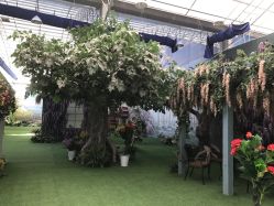 点击看大图 -戛纳印象摄影(潮拍定制馆)