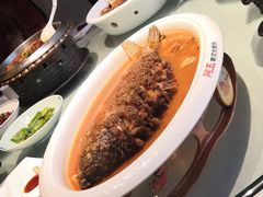-阿五黄河大鲤鱼(纬三路店)