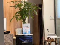 -Mentor Hair Salon
