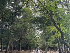 -奈良公园